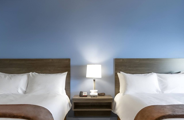 3 Efficient Rooms for Busy Travelers in Convenient Location - Pets Are Welcome!