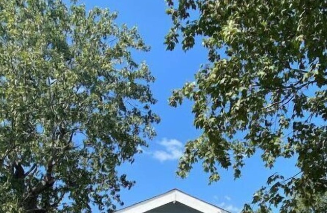 30 Day Minimum Stay: Quiet Guest House 15 minutes from downtown