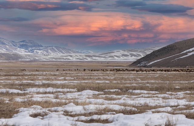 311 Hidden Hollow Elk Refuge 3-Bed Penthouse Retreat