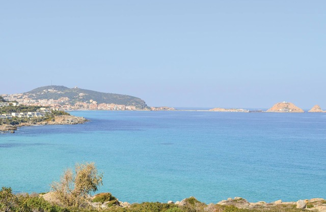 4 bedroom accommodation in Feliceto