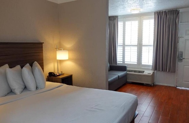 4 Relaxing Units Near the Picturesque Scenery in Wickham Park! FREE Parking