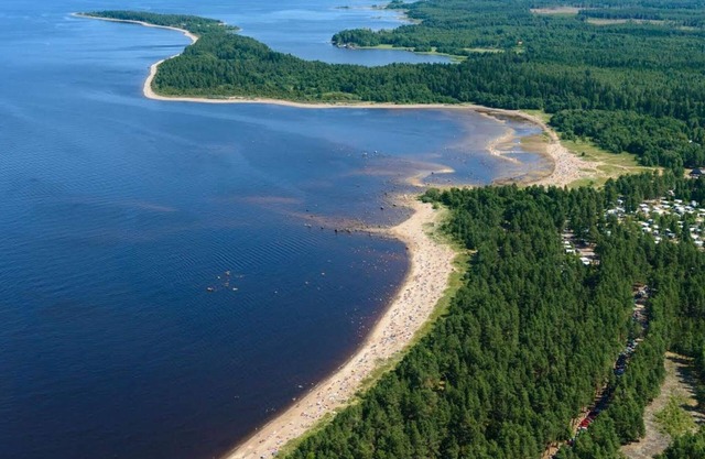 4 star holiday home in Skutskär