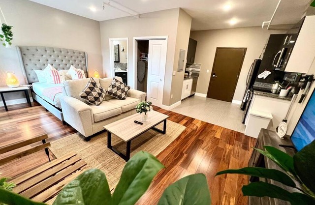 502 Luxury 1BR apartment in center city