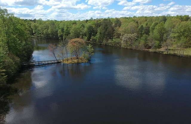 8 Acre Private Lake w/Island, & 4 Unique Rentals!