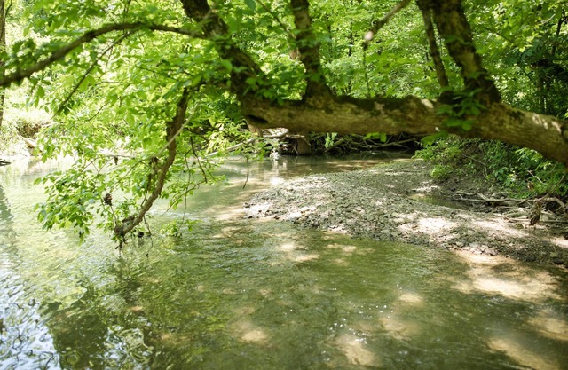 9511 Compressor Rd, Chesterhill, OH - Outdoor Movie Theater with Outdoor Kitchen and Games