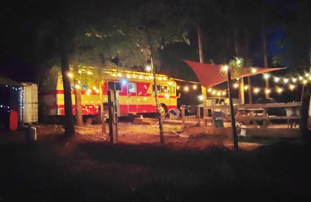 A beautiful Disaster in the woods!