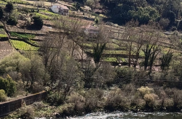 A Casiña de Morgan. O Mar de Ribeiro