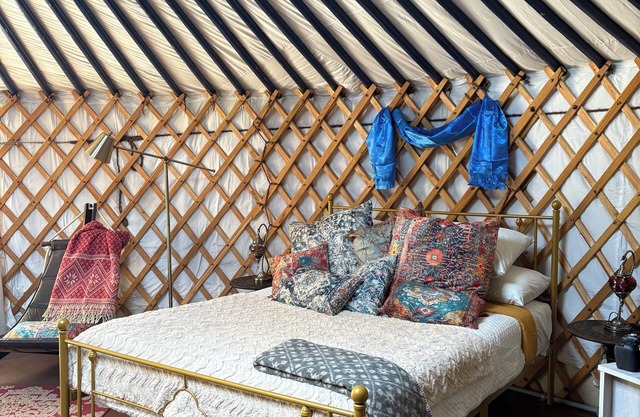 A Cosy Stay in an Authentic Mongolian Yurt!