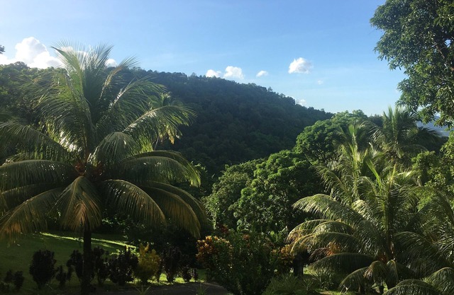 A Magical Oasis .Minutes from several beaches