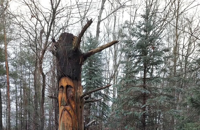 A One of a Kind Family Retreat