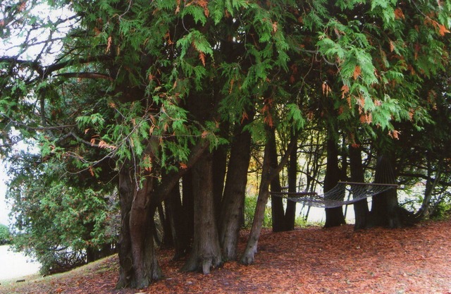 A Quiet Retreat In Door County Close To The Water, Shops, Eateries And Golf.