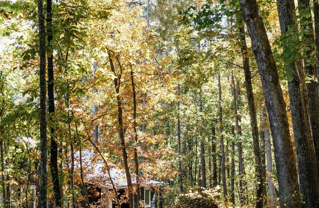 A secluded haven on 5,000 acres in NW Georgia, just 45 minutes from Atlanta and Chattanooga, and a quick 10-minute drive to downtown Rome. Explore private trails along the Etowah river, bask in wildlife, and gaze at mesmerizing stars. Your perfect es