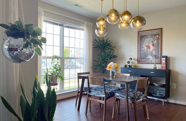 Accessible 1 bedroom apartment near downtown Frederick