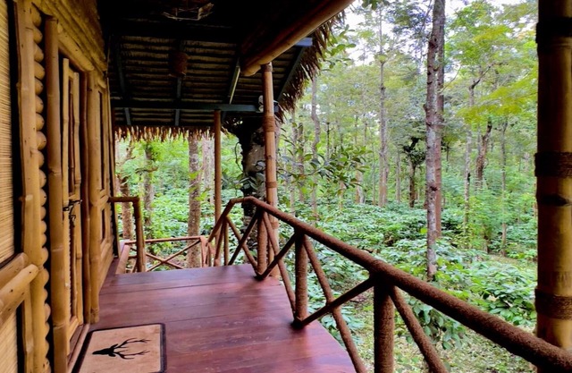 Adrak Mountain Mist Forest Resort