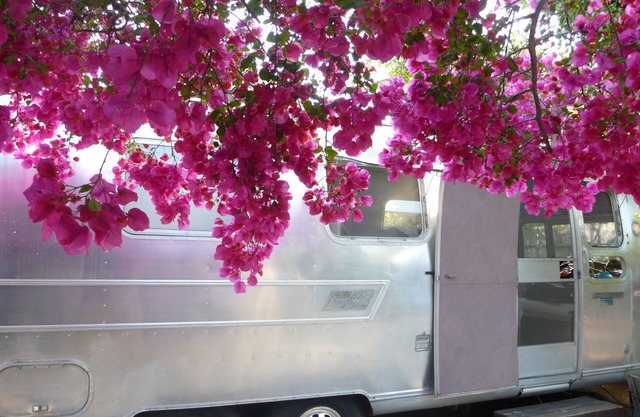 AIRSTREAM backyard private glamping Mar Vista GATED yard outdoor HOT shower