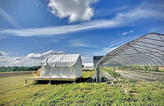 Allenbrooke Farms Glamping Tent 1