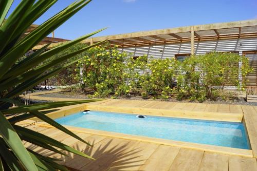 Aloha Studio