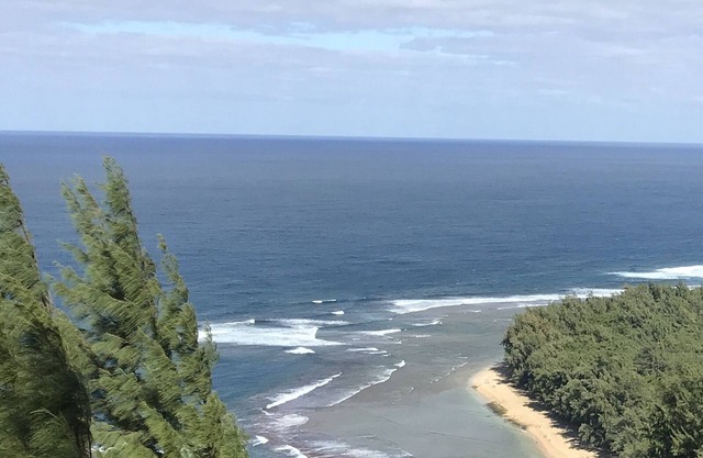 Aloha! The North Shore of Kauai awaits in this amazing, centrally located Condo!