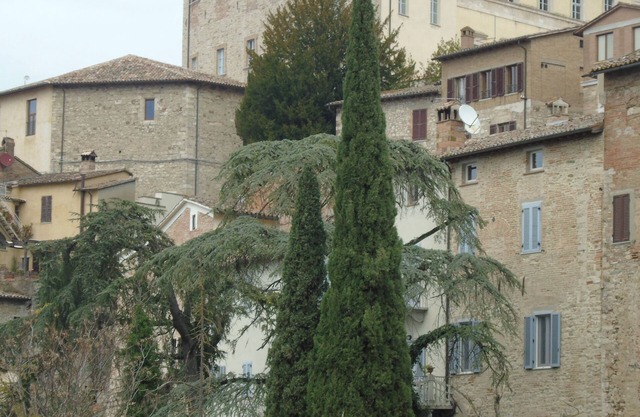 Angela's House on the Ancient Walls of Todi for 2/4 people