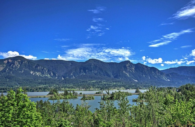 Ann's Aerie Home w/Gorgeous Views & Special Rates!