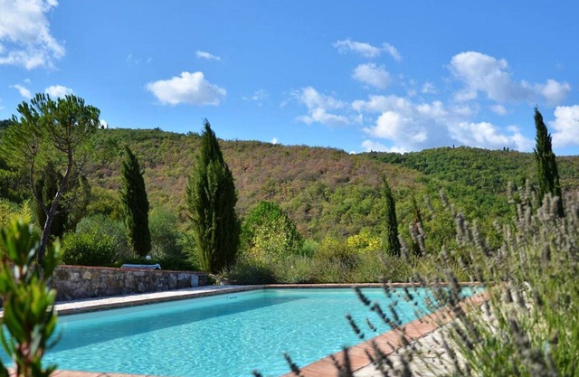 Antico Cipresso, Navico, Castellina in Chianti, Siena and Chianti