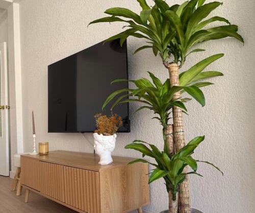 Apartamento en el corazon de Las Torres de Cotillas