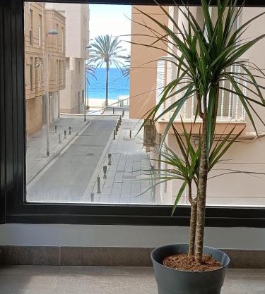 Apartamento El Zapillo III