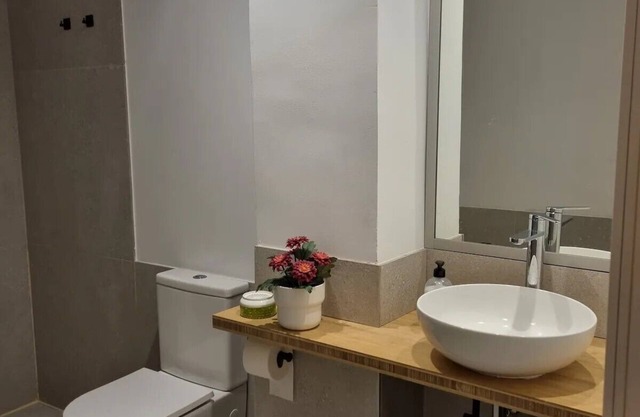 Apartamentos lleo san rius