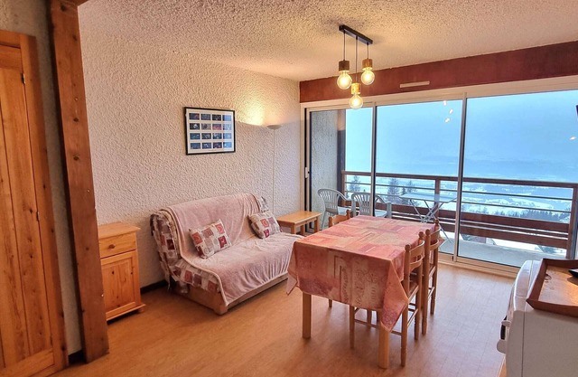 Apartment 4 ppl, south-facing balcony, parking, wifi, pets allowed