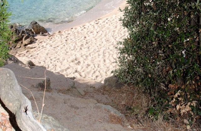 Apartment 4 people, 1st floor, sea view, direct access to the beach