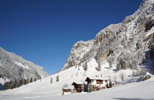 Apartment Bergblick