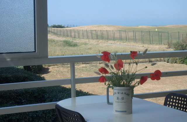 Apartment facing the ocean