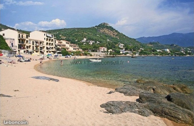 Apartment feet in the water (1 minute walk from the beach)