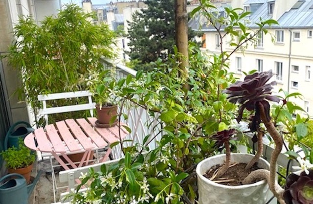 Apartment/Flat - Paris