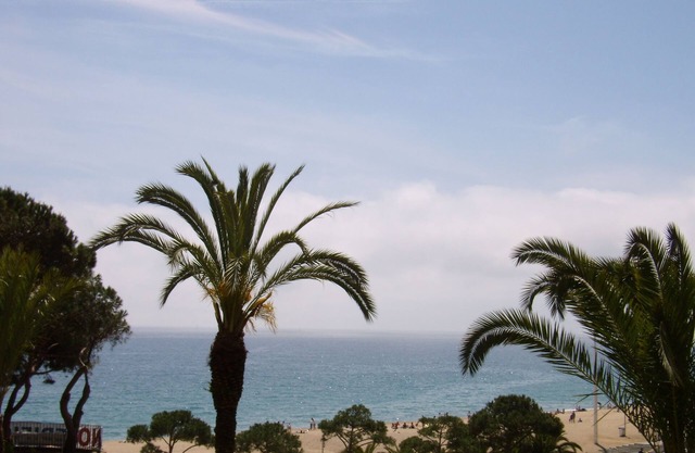 Apartment/flat - Playa de Aro
