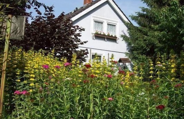 Apartment in Schelingen with Private Parking