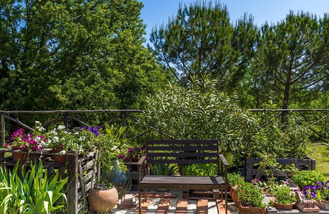 Apartment in the Tuscan countryside with wi-fi, TV, pool and bar/restaurant on site!
