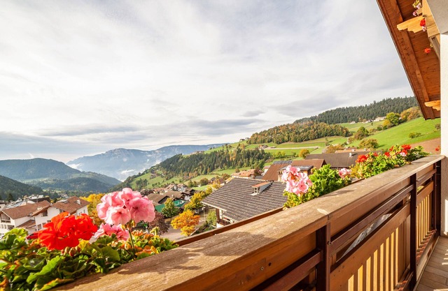 Apartment 'Klausthaler Ferienwohnung B' with Mountain View, Shared Terrace and Wi-Fi