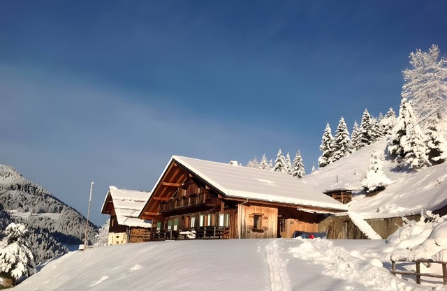 Apartment 'Mont De Grange' with Mountain View, Private Terrace and Wi-Fi
