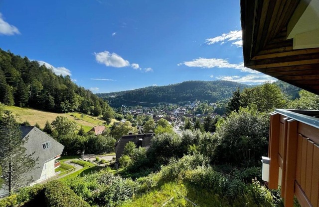Apartment 'Panorama Todtmoos' with Mountain View, Balcony and Wi-Fi
