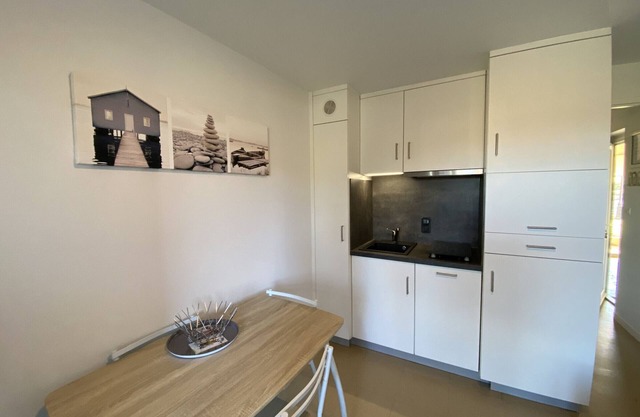Apartment with WIFI and Pets Allowed, Near Thermal Baths in La Roche-Posay