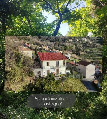 Appartamento Il Castagno