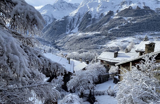 Appartement Dans un Chalet Authentique