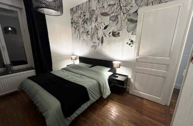 Appartement F2 Plein de Charme, Quartier Nancy-thermal, Face à L'artem
