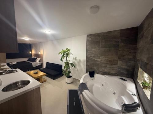 Apto con Jacuzzi Privado y Cama Doble