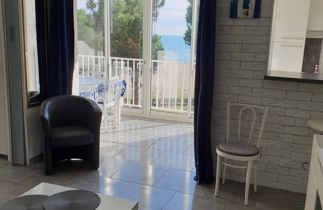 Argelès - Sea front (renovated) - Sea view - 20m beach (direct access) - wifi