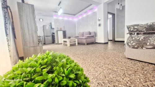 Ariana Luxury Apartament - Eforie Nord