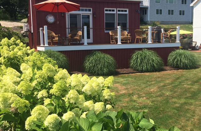 Artist's Studio turned Guest House Sleeps up to 3