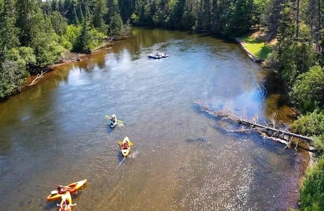 Au Sable River Cottage 3 bedroom w/indoor fireplace