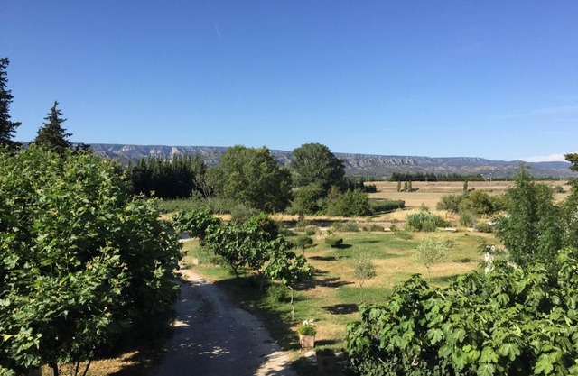 Auberge Les Olivades